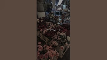 #ادريس_ابكر 🌷#قرآن #تلاوة #الحمد_لله #استغفر_الله #اكسبلور #like #fyp