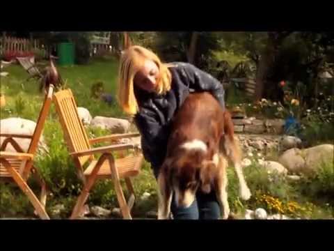 Erste Hilfe für den Hund - Erstickung