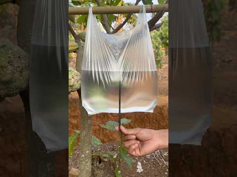 Wow, Great Idea! thumbnail