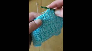 Learn to Single Crochet plus learn the basic foundation chain at the end.