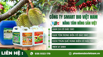 Tiệc tất niên 2022