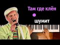Там где клён шумит OST Сваты 5 караоке PIANO KARAOKE ᴴᴰ НОТЫ MIDI