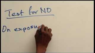 NITROGEN II OXIDE - TEST