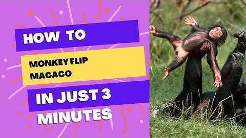 Monkey flip Macaco