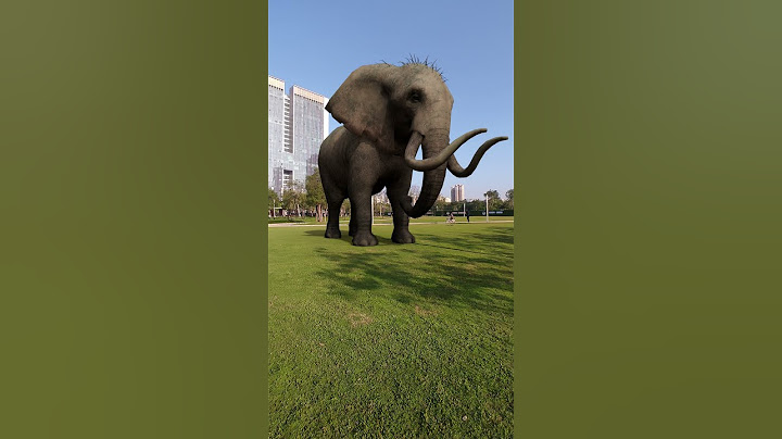 Elephants in the park# Elephants🐘# Effects