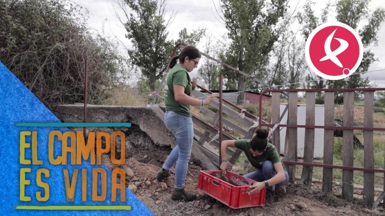 El punto débil de Isabel y Lidia | El campo es vida