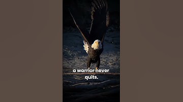 A Warrior Never Quits! 💪 | Powerful Motivation | Never Give Up Quotes 🔥