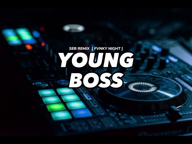 DJ YOUNG BOSS - SEB REMIX  [ FVNKY NIGHT ] class=