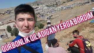 Qurbon Hayiti muborak bo'lsin 1-vlog