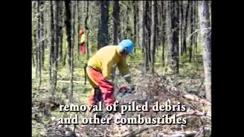 FireSmart Burn Trials in the NWT