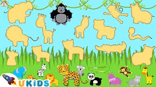 Learn Jungle Animals (Zoo) Names | sea animals | Vocabulary for Kids | U-Kids
