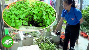 Ứng dụng công nghệ vi sinh vật trong xử ký rác thải hữu cơ | THKG