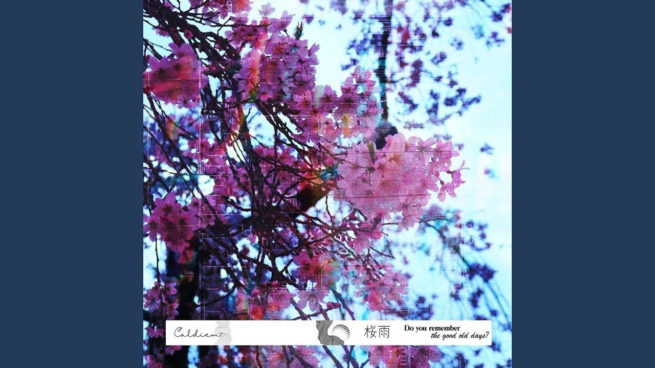 Watch 桜雨 on YouTube Watch 桜雨 on YouTube