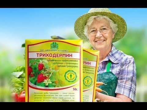Триходермин Инструкция По