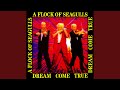 A Flock Of Seagulls - Dream Come True