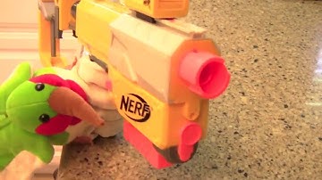 Celebrating 1 Year of Ralphie the Chef!