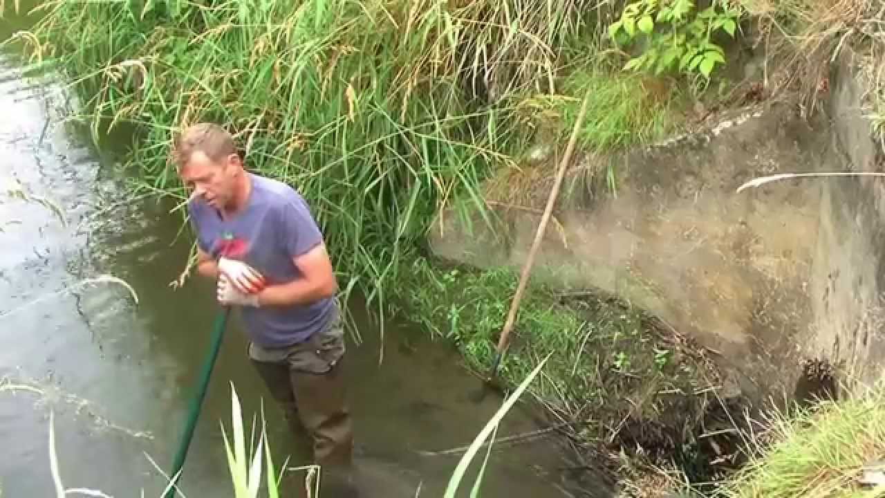 The Restoration of Scottish Thistle Farm SE01E03 July YouTube