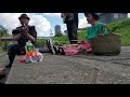 あくびの途中で(滝本晃司cover byへんてこ楽団)風つよピクニックver.