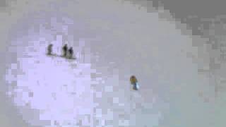 SANY0352.MP4