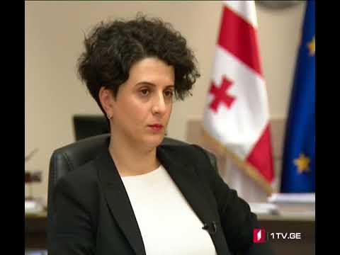 ნათია მეზვრიშვილის კომენტარი ქურდული სამყაროს წინააღმდეგ კანონპროექტზე