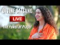 Divine satsang live with pujya sadhviji  18 apr 2024  sacred garden at parmarth niketan