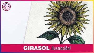 CÓMO DIBUJAR UN GIRASOL 🎨 Tutorial Ilustración [Paso a paso]
