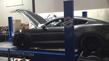 2016 Mustang GT JLT Intake/SCT Custom tune. Corsa exhaust dyno run.
