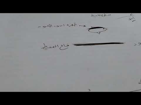 التباين اللونى علوم الصف الرابع الابتدائي 2023 تكملة حصة 5 