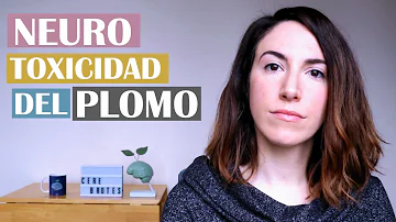 ¿A qué parte del cerebro afecta la intoxicación por plomo?