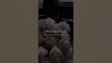 وقالوا اتخذ الرحمن ولدا || القارئ عبد الرحمن مسعد