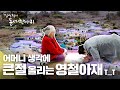 보랏빛 마을에서 만난 97세 할머니의 한결같은 부모 마음 [김영철의 동네 한 바퀴] 20200201