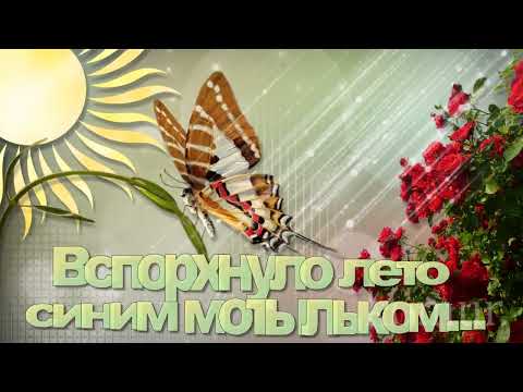 Вспорхнуло лето синим мотыльком… Красивая музыкальная открытка komur
