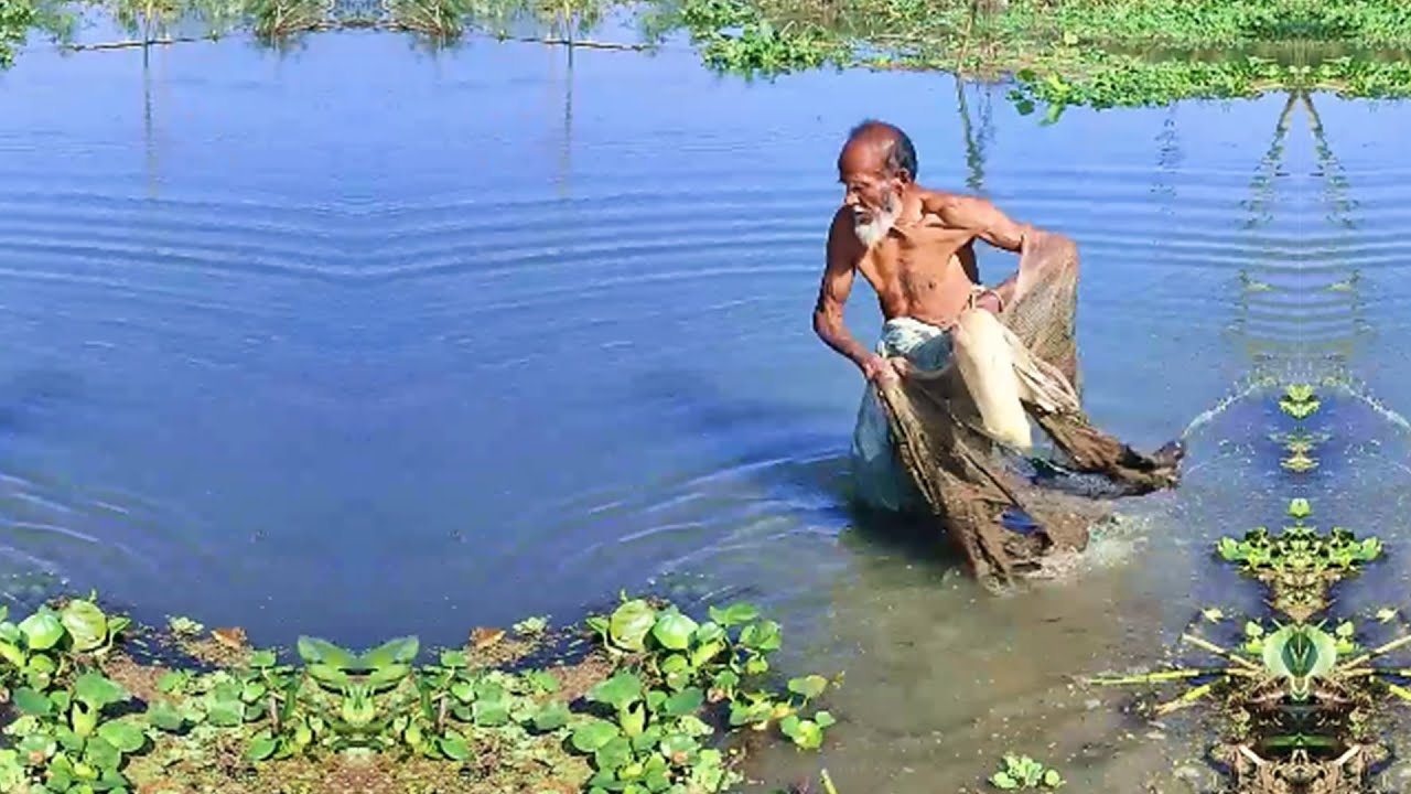 Amazing Fishing Skill - Best Cast Net Fishing - Fishing by Poor and Skilled Fisherman