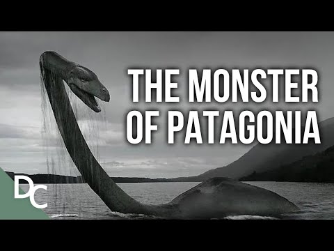 NAHUELITO: THE MONSTER THAT DIVIDES A TOWN