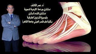 دكتور عمر الكاشف استاذ جراحة الأوعية الدموية والقدم السكري