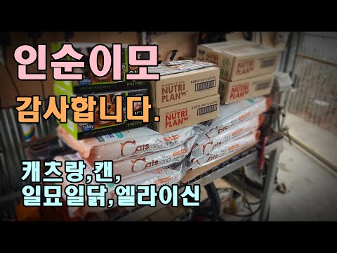길냥_ 인순이모,캐츠랑,뉴트리플랜캔,일묘일닭,<strong>엘라이신</strong>