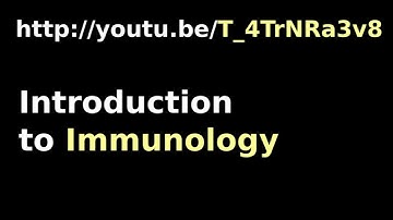 Redirect to Intro Immunology Video