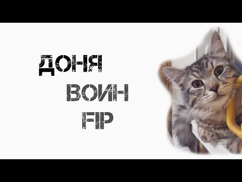 Видео: Има ли лечение на хоризонта за FIP? - Нови възможности за лечение на FIP при котки