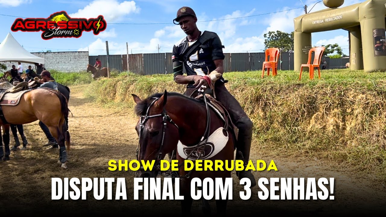 VIEMOS COM TUDO NA CLASSIFICAÇÃO, TEVE PROTETOR TORADO!!!