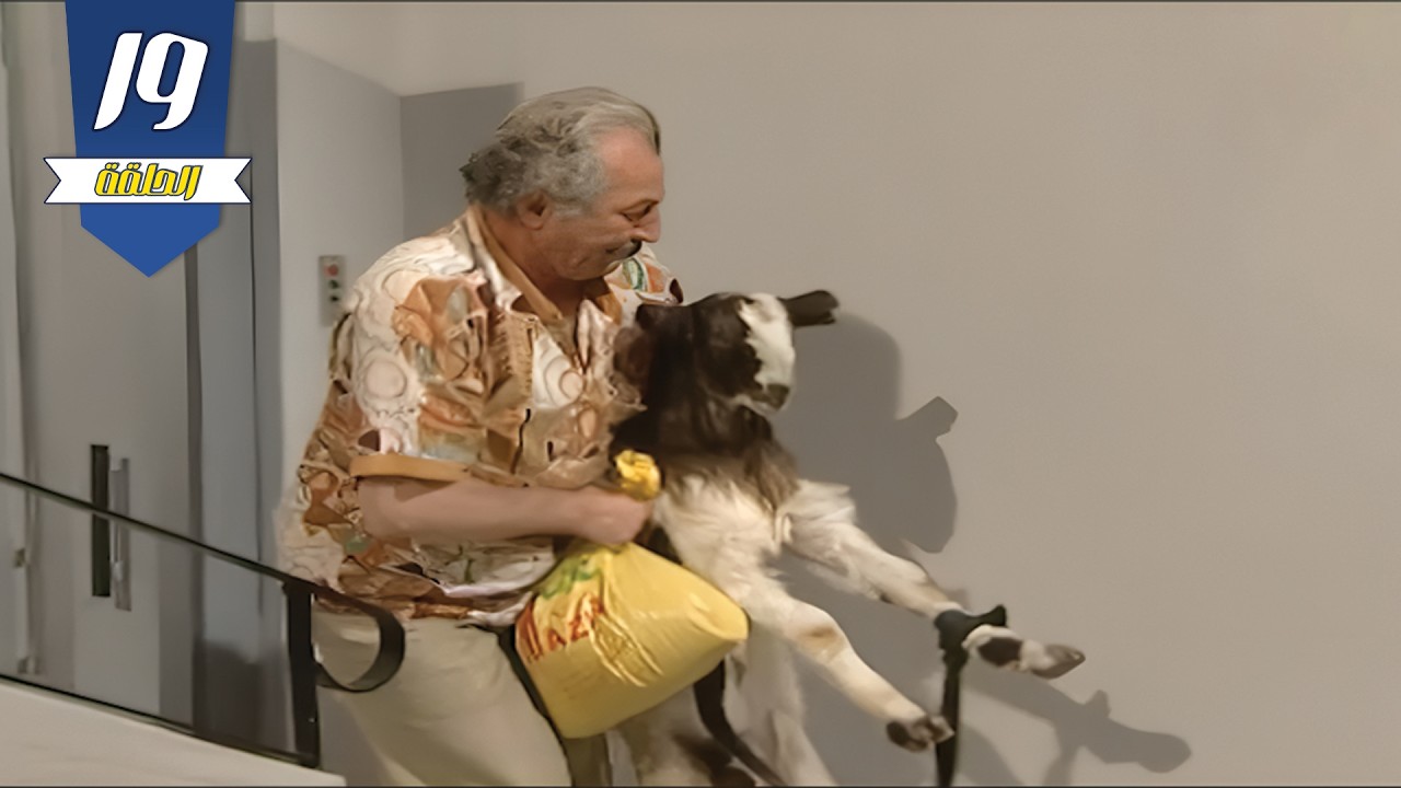 أيمن رضا , سامية الجزائري , باسم ياخور | في مسلسل عيلة ست نجوم 😍| الحلقة التاسعة عشر | نسخة مرممة 🔥🔥