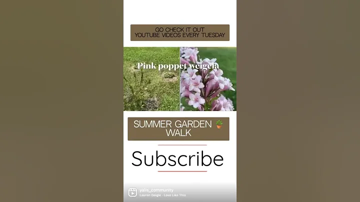 Be part of Yali’s Community! Videos Every Tuesday! SUBSCRIBE, LIKE, SHARE! & Enjoy this Garden Walk