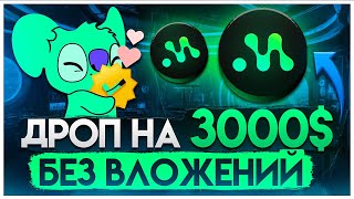 MORPH - Успей Получить ДРОП на 3000$! Гайд по проекту Morph