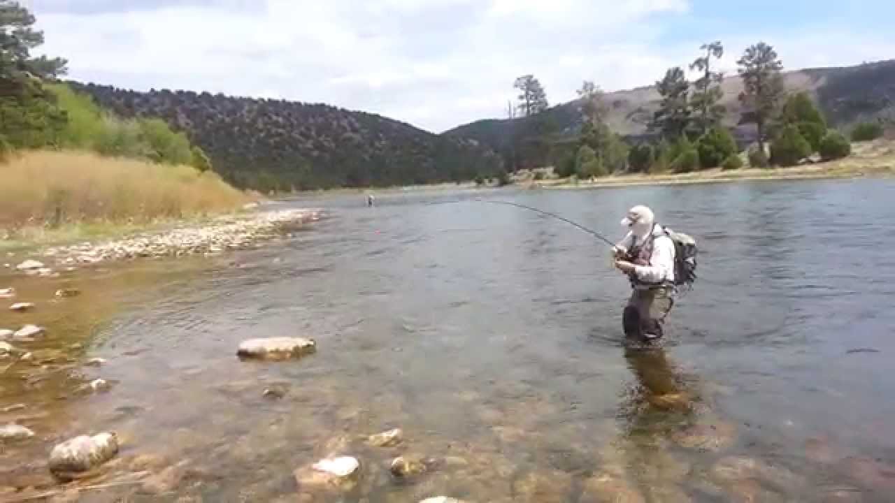 Green River Fly Fishing Guide Blaine Saunders YouTube