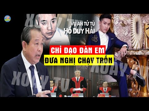 Video: Bỏ phiếu của bạn cho Giải thưởng Chó anh hùng 2014!