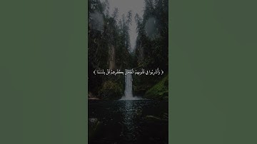 #القرآن_الكريم #قران_كريم #ارح_قلبك #قرآن #تلاوة_خاشعة