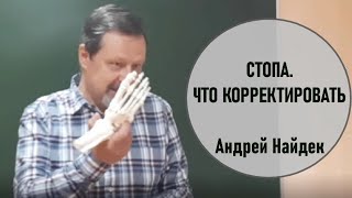 Почему человеческая стопа имеет такую форму? Главное в коррекции стопы. Андрей Найдек