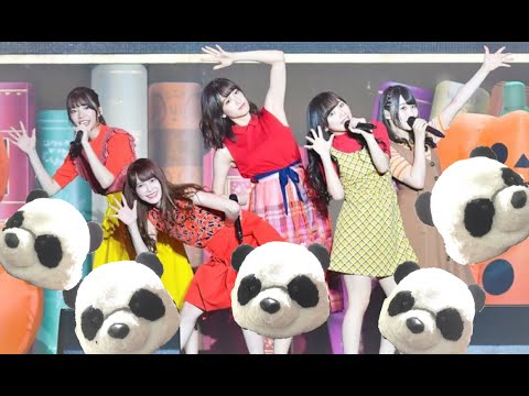 【叩いてみた】けやき坂４６「ハロウィンのカボチャが割れた」【ぱんだ】