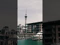 VIADUCT HARBOUR /// COOL PLACES TO SEE IN AUCKLAND #travel  #newzealand  #auckland