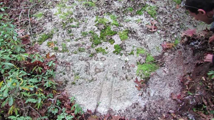 Mysterious rock carvings on Cape Cod