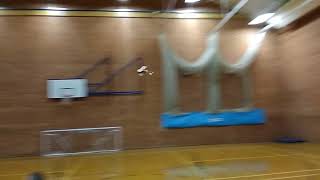 Vintage Model Company SE5a indoor Free Flight